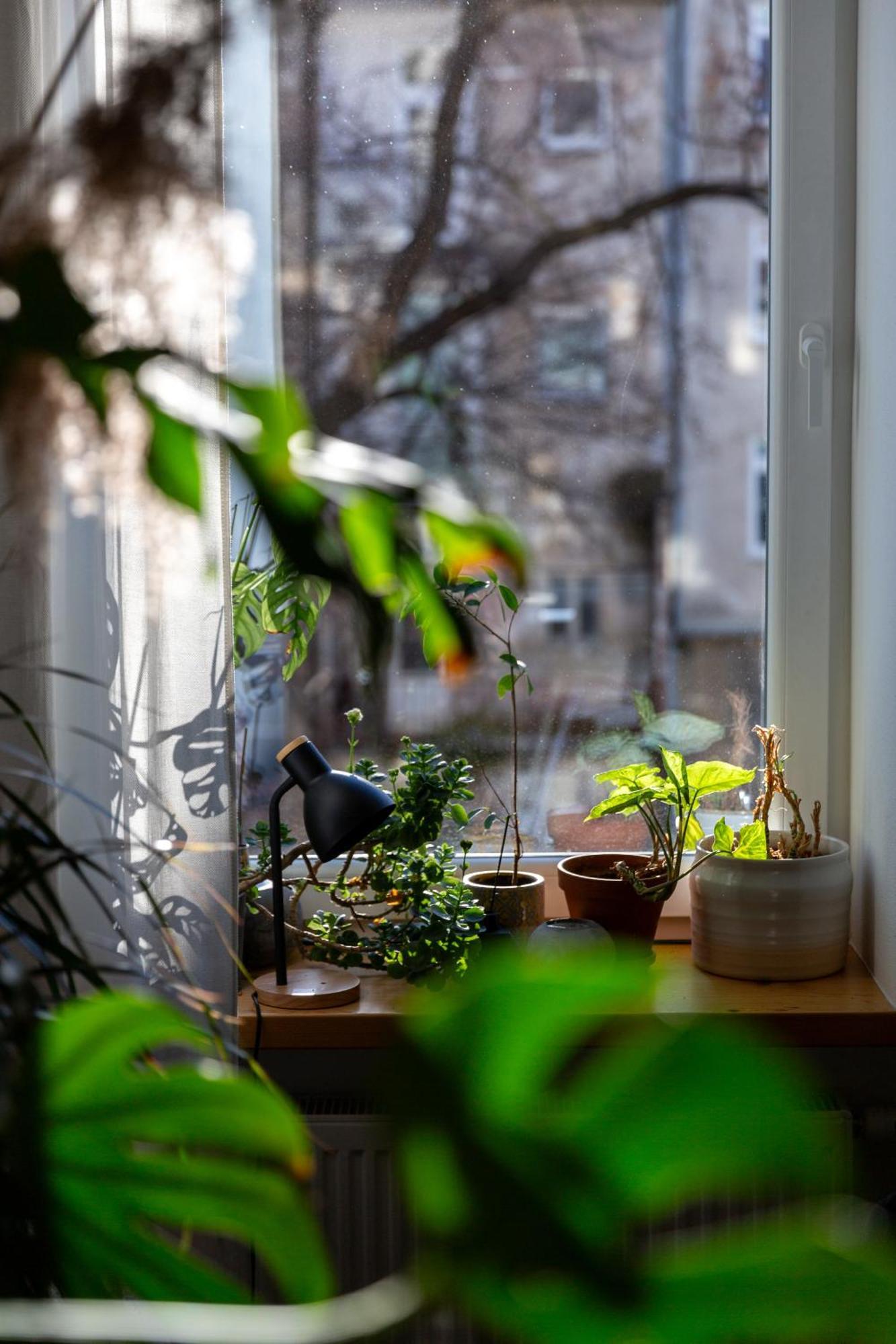 Evergreen - Old Town Spacious Stylish Apartment With Ac And One And A Half Bath, Baby & Kid- Friendly 브라티슬라바 외부 사진