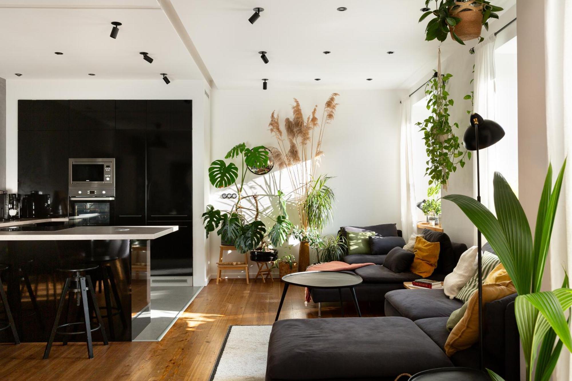 Evergreen - Old Town Spacious Stylish Apartment With Ac And One And A Half Bath, Baby & Kid- Friendly 브라티슬라바 외부 사진