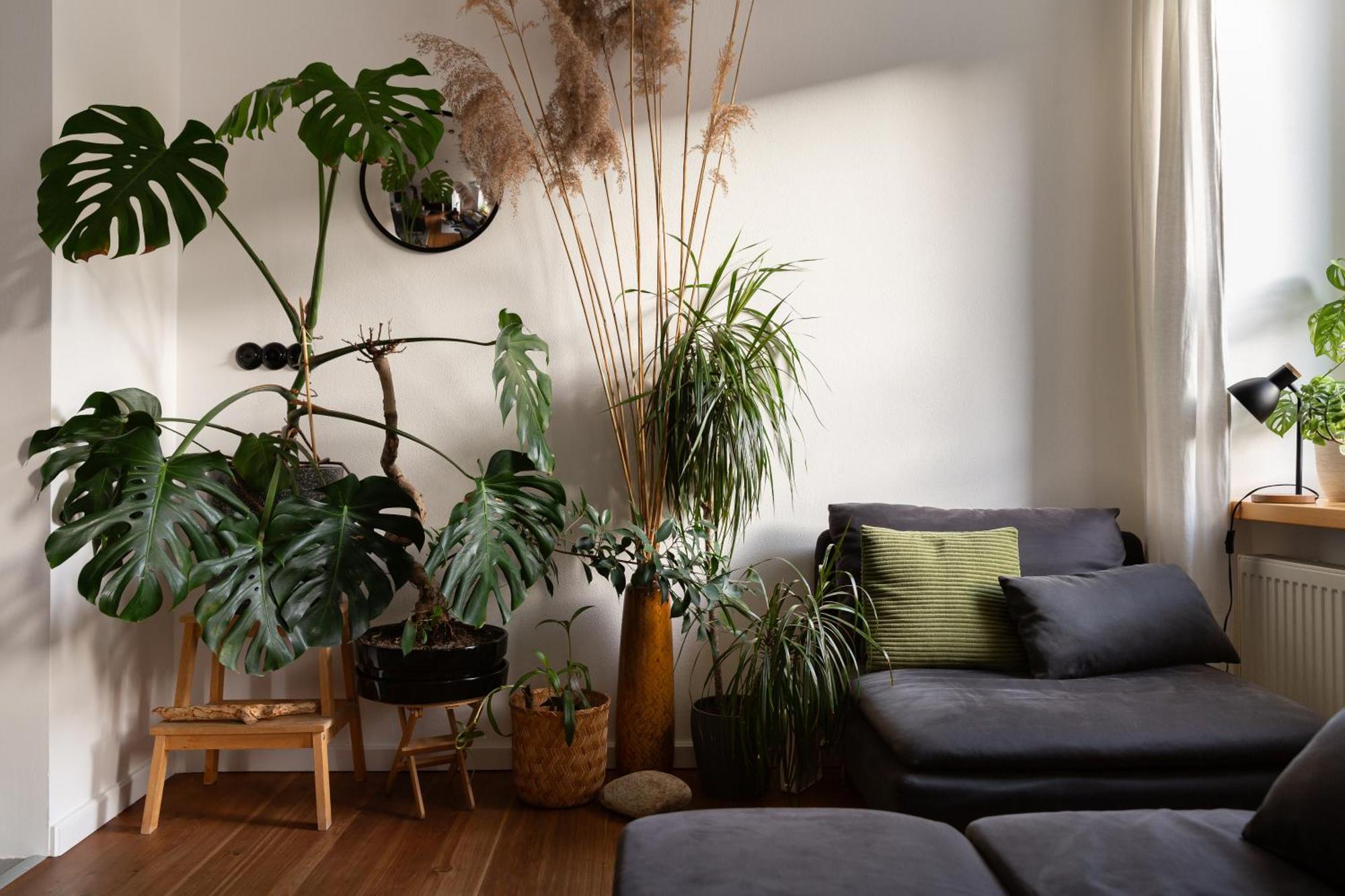 Evergreen - Old Town Spacious Stylish Apartment With Ac And One And A Half Bath, Baby & Kid- Friendly 브라티슬라바 외부 사진