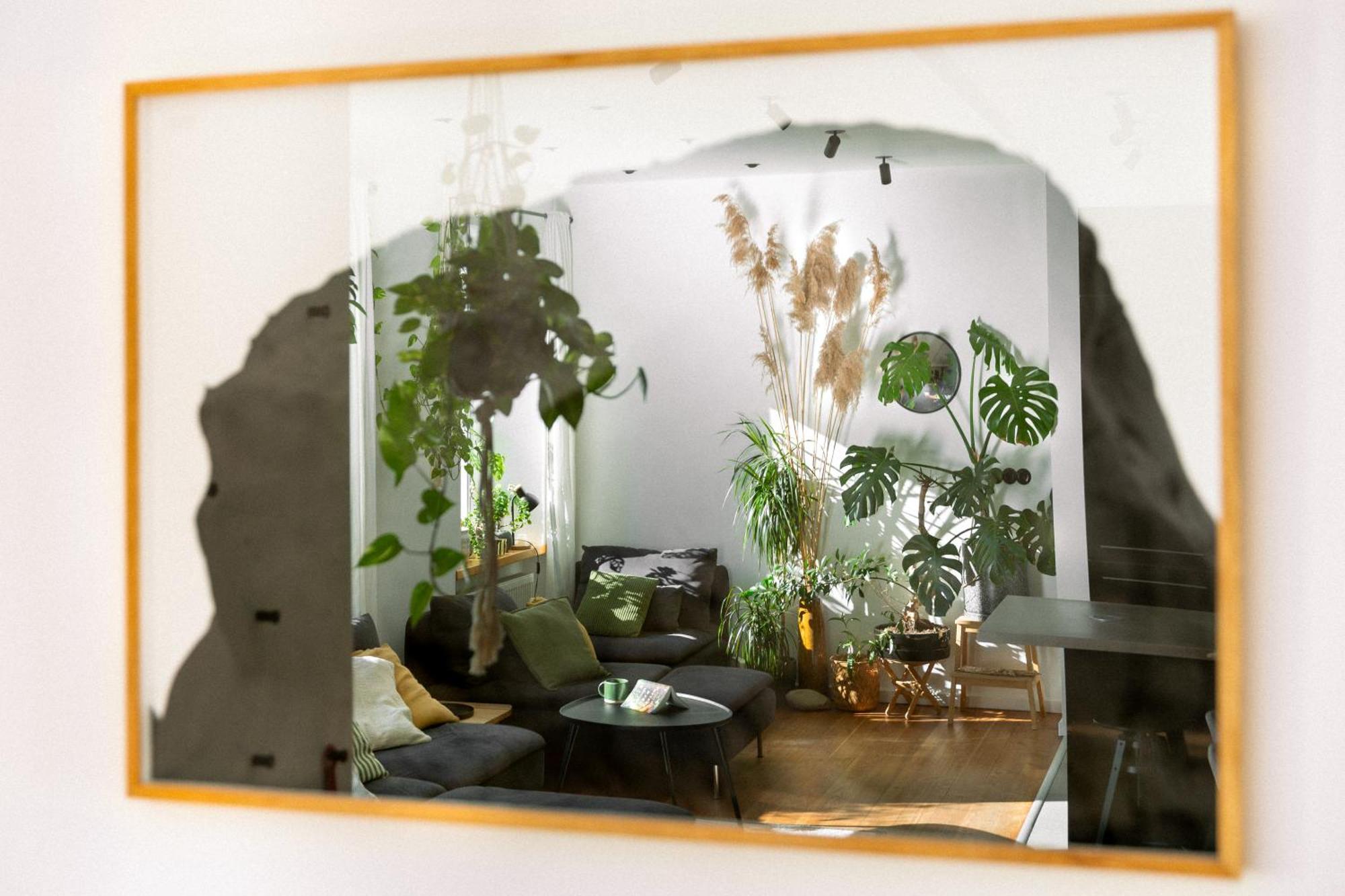 Evergreen - Old Town Spacious Stylish Apartment With Ac And One And A Half Bath, Baby & Kid- Friendly 브라티슬라바 외부 사진
