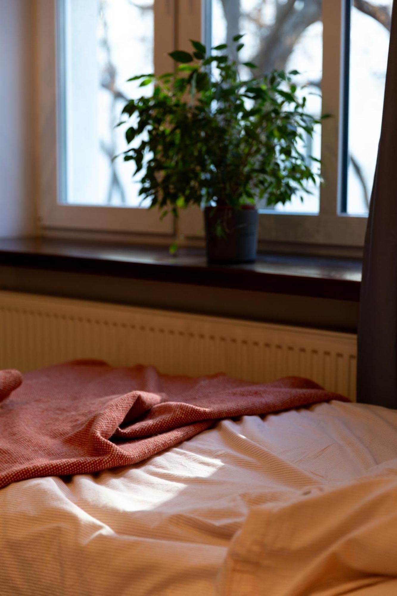 Evergreen - Old Town Spacious Stylish Apartment With Ac And One And A Half Bath, Baby & Kid- Friendly 브라티슬라바 외부 사진
